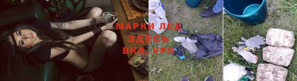 гидропоника Алзамай