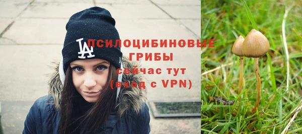 прущие грибы Алексеевка